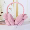 Molfs d'oreilles mignonnes 3D Earmuffs chauds d'hiver Enfants de plein air Soft Peluchers de couverture