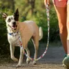 Custom Nylon Dog Collar i Smycz Zestaw Spersonalizowany Drukowane Dog Tag Collar Grawerowane Pet Puppy ID Obroża dla średnich Dużego Dogów 211006