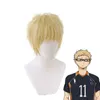 Haikyuu !! Cosplay Tsukishima Kei Hinata Shoyo Nishinoya Yuu Oikawa Toru Kozume Kenma Kageyama Tobio Miya Atsumu Osamu Wig Y0913