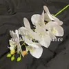 Dekorativa blommor kransar en faux fjäril orkidé blomma 5/7 huvuden/bit verklig beröring konstgjord phalaenopsis för hemfest blommor dekor
