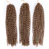 Lanzhi 16 tum Passion Hair Ombre Blonde Water Wave 80gpc Bohemian Braid Crochet Braiding Syntetiska h￥rf￶rl￤ngningar LZ06Q8135955