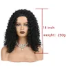 Parrucca naturale afro riccia parrucca per capelli sintetici parrucche per capelli per le donne nere Wave Wave Fascia donna