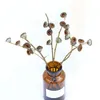 Dekorativa blommor kransar 5st eukalyptus torkad blomma naturlig växt verklig hem dekoration konst frukt
