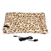 cat heating pad temperature