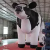8/10/13/16 pés ou vacas leiteiras holandesas infláveis gigantes personalizadas para publicidade fabricadas na china