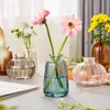 3Pcs Classic Creative Vase Grass Black Transparent Glass Vase Living Room Modern Ins Style Glass TransparentVases For Home Decor 210409