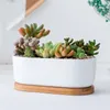 Ovale witte keramische succulente bloempotten groene plant pot met bamboestandaard kleine bonsai potten plantenbakken