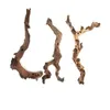 Materiale paesaggistico per acquario 1PC per rami secchi fai-da-te Bonsai Driftwood Decorazione ornamenti per acquari