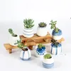 NOUVEAU Mode décoratif Planteurs succulents Bureau Accueil Céramique peinte à la main Pot de fleurs rond charnu Creative Flowerpots Sea Ship EWB7938