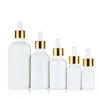 500 pcs Blanc Porcelaine Huile Essentielle Parfum Flacon Compte-gouttes e Liquide Réactif Aromathérapie Bouteilles 5 ml-100 ml En Gros SN5452