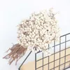 20 adet Doğal Pamuk Topları Dired Çiçek Bitkileri Kuru Gerçek Beyaz Meyve Demet Parti Dekoratif Çiçekler DIY Düğün Ev Dekorasyon 210624