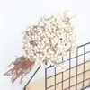 20 pz batuffoli di cotone naturale piante da fiore dired secchi veri mazzi di frutta bianca fiori decorativi per feste fai da te decorazione della casa di nozze 210624