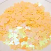 500g confettis de paillettes de tête de souris holographique multicolore pour l'artisanat en forme d'ongle en vrac