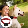 6 шт. / Установка 6V воротник домашних животных замена аккумулятор, совместимый с Petsafe RFA-67 280MAH круглые батареи для контроля тренировок для собак 210911