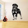 Venster stickers muur pure kleur huis citaten creatieve kunst cartoon decoratie sticker partij achtergrond aangepast elk formaat patroon