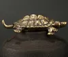 brass tortoise