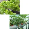 Hydroponic Site Grow Kit 54 Pflanzplätze Gartenpflanzensystem Gemüse-Werkzeugkasten Erdloser Anbau Pflanzensetzling Grow Kit 210615