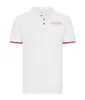 2021 Summer F1 Formula One Racing Polo Shirt غير رسمي بأكمام صغيرة من طية صدر الستيرت ، ملابس عمل كبيرة يمكن تخصيصها لـ FAN213W