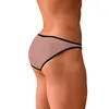 مثلي الجنس underpants الرجال ملخصات القضيب مثير رجال underware وزاري منخفض الخصر الذك