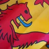 Royal Scottish Flags Lion Flag Scotland Flag для украшения 90 х 150 см 3 * 5ff Пользовательские баннерные металлические отверстия втулки в помещении и на улице могут быть настроены