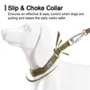 Truelove Collare di addestramento per cani in nylon Pet Slip Choke per caccia di grandi dimensioni e piccole Unique Cool s Collier Pour Chien 211022