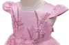 2019 New Summer Flower Girls Wedding Party Urodziny Dress Księżniczka Sukienka Dla Dziewczyn Tutu Vestido Baby Kids Big Bow Elegancka sukienka Q0716