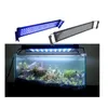 Akwaria oświetlenie 1 szt. Czarny ZJL-40 Podwodny akwarium akwarium Fishbowl SMD 6W 28 cm Lamp Lampa LED AC100-240V US EU PUP PET 2897