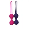 2022 Giocattoli per adulti Stringere Ben Wa Vagina Muscle Trainer Kegel Ball Egg Intimo Donna Palline vaginali cinesi Prodotti per adulti Donne8448499