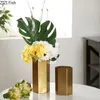 Vasi minimalista esagono oro vaso in metallo cilindro metallo artificiale floreale floreale vasi decorativi arrangiamento decorativo decorazione domestica moderna