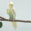 鳥のおむつの柔らかい鳥の飛行は洗える洗える再利用可能なオウムの蝶の装飾通気性のあるペットのおしっこパッド6サイズ