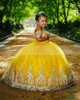 2022 Yellow Ball Gown Mini Quinceanera Dresses Little Toddlers Embroidered Off Shoulder Sleeves Girls Pageant Graduation Dress Teens