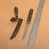 High End Liten Straight Kniv VG10 Damaskus Stål Drop Point Blade Ebony + Rostfritt Stål Huvudhandtag Utomhus EDC Keychain Knives