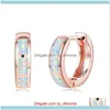 Jewelrycute Female Blue White Opal Earring Rose Gold Sier Color Wedding Earrings Small Bridal Round Hoop For Women & Hie Drop Delivery 2021