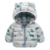 Neonate Piumini con cappuccio per bambini Cartoon Dinosuar Cappotti Autunno Ragazzi Warm Top Bambino Cerniera Capispalla JYF 211203