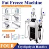 4 Cryo Handle Trouze Freze Cryolipolysis Weight تقليل الجسد ماكينة التخسيس الطبية معدات التجميل