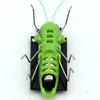 Funny Insect Solar Grasshopper Cricket Educational Toy birthday gift8411294