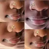 Anelli per naso piercing finti a spirale in filo di rame Naso con clip color oro argento punk Può anche essere polsino con clip per l'orecchio