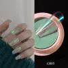 1 g/pudło przezroczyste Holo lustro brokatowe do paznokci Aurora neonowe proszki kurz kameleon Nails Art Chrome Pigment proszek do zanurzania dekoracji