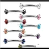 Livraison directe 2021 16G 316L en acier inoxydable coloré Zircon Double cristal anneau de sourcil corps Piercing bijoux Oe1Gk