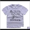 Baby Baby Maternity Drop Leverans 2021 Pojkar T-shirt Trumpieure Kläder Satser Kortärmad tröja Dinosaurbyxor Kids Sommar Outfits 26T 7YCSY