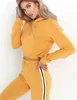 Tweedelige set vrouwen sexy outfits voor seks lounge dragen korte hooded pullover + trekkoord rechte broek dal trainingspak kleding dames baan