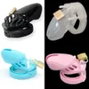 CB6000S Silicone Kuisheid Kooi Mannelijke Kleine Kuisheidsapparaat met Lock Rubber Silicon Penis Mouw Cock Ring Cage Sex Toy voor Man P0826