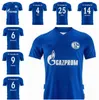 schalke fc