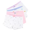 2pcs meninas cueca boxeador roxo azul branco algodão elástico calcinha de calcinha de 2 a 12 anos de roupa OGU213211