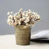 20st Naturliga bomullsbollar Dired Flower Plants Torka Real White Fruit Bunch Party Dekorativa Blommor DIY Wedding Home Decoration 210624