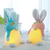 Easter Party Faceless Gnome Rabbit Doll Handmade Reusable Home Decoration Spring Bunny Ornaments Kids Gifts