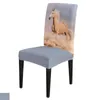 horse chair