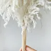 White Color Large Size Real Dried Pampas Grass Wedding Decor Flower Bunch Natural Plants Home Fall 220311