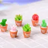Simulation Cactus Succulent Pot Miniature Bonsai Micro-paysage Mousse Terrarium Plante Décor Fée Jardin Accessoire Résine Artisanat DIY Matériel DH8570