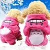 Dog Apparel Winter Huisdieren Truien Totoro Kostuum Sweater Hoodie Jas Coral Fleece Vest Puppy Cat kleding VS